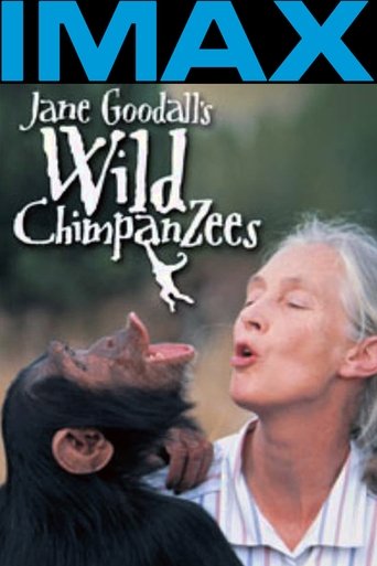 Jane Goodall's Wild Chimpanzees Poster of Jane Goodall's Wild Chimpanzees
