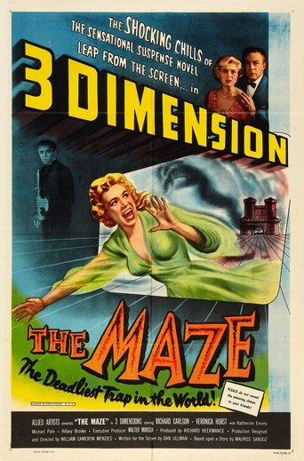 The Maze Poster of The Maze