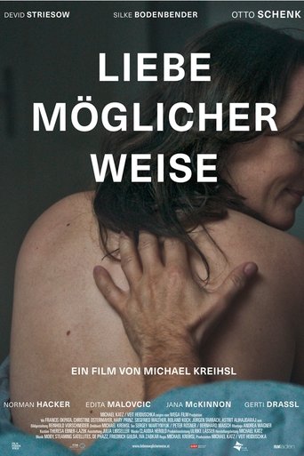 Liebe möglicherweise Poster of Liebe möglicherweise