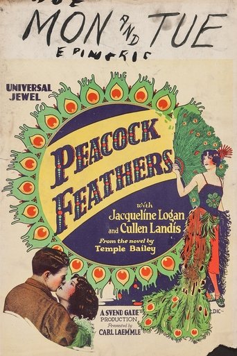 Peacock Feathers Poster of Peacock Feathers