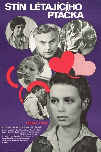 Stín létajícího ptáčka Poster of Stín létajícího ptáčka