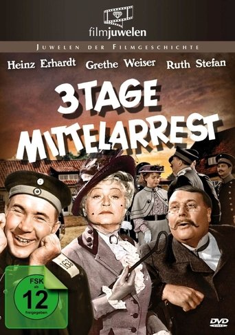 Drei Tage Mittelarrest Poster of Drei Tage Mittelarrest