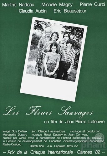 Wild Flowers Poster of Wild Flowers
