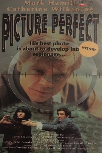 Picture Perfect Poster of Picture Perfect