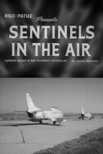 Sentinels in the Air Poster of Sentinels in the Air