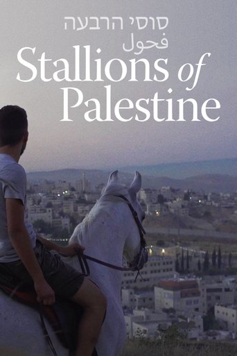 Stallions of Palestine Poster of Stallions of Palestine