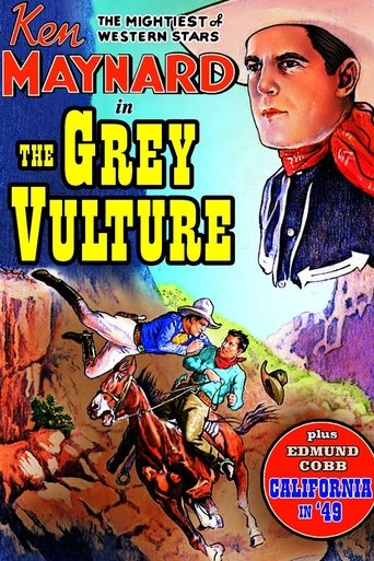 The Grey Vulture Poster of The Grey Vulture