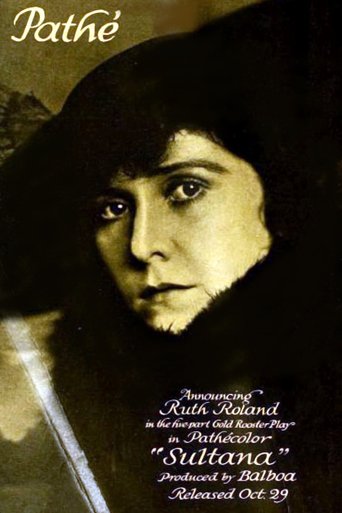 The Sultana Poster of The Sultana