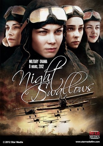 Night Swallows Poster of Night Swallows