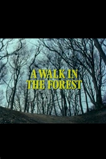 A Walk in the Forest Poster of A Walk in the Forest