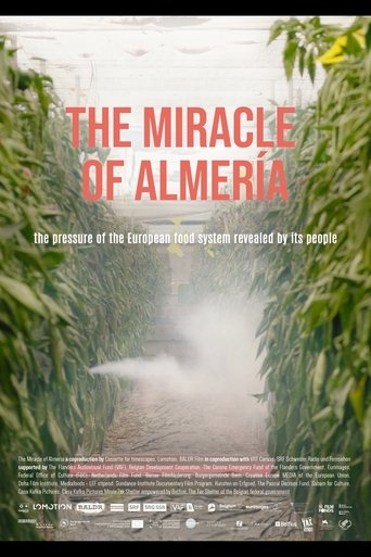 The Miracle of Almería Poster of The Miracle of Almería