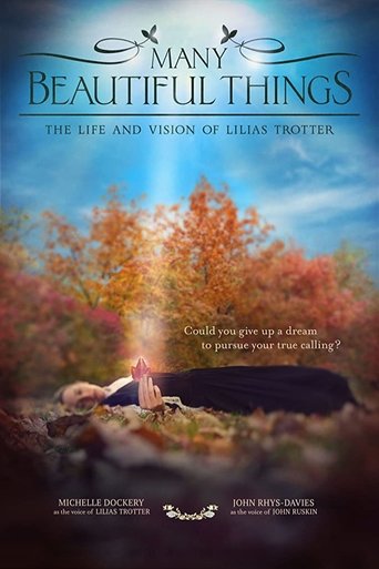 Many Beautiful Things Poster of Many Beautiful Things