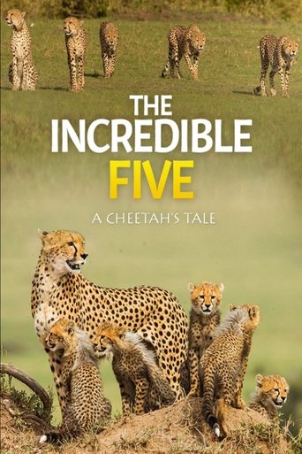 The Incredible Five: A Cheetah's Tale Poster of The Incredible Five: A Cheetah's Tale
