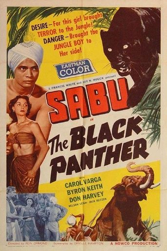 The Black Panther Poster of The Black Panther