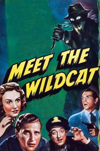 Meet the Wildcat Poster of Meet the Wildcat