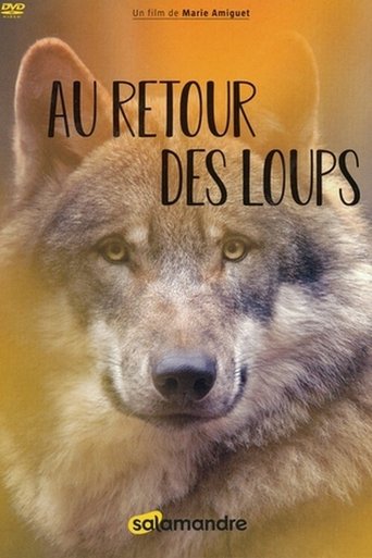 Au retour des loups Poster of Au retour des loups