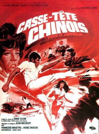 Casse-tête chinois pour le judoka Poster of Casse-tête chinois pour le judoka