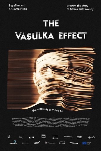 The Vasulka Effect Poster of The Vasulka Effect