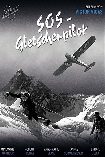 SOS - Gletscherpilot Poster of SOS - Gletscherpilot