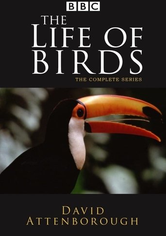 The Life of Birds Poster of The Life of Birds