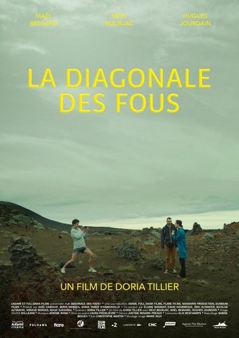 La diagonale des fous Poster of La diagonale des fous