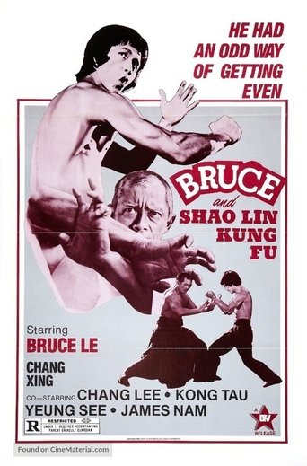 Bruce and Shaolin Kung Fu Poster of Bruce and Shaolin Kung Fu