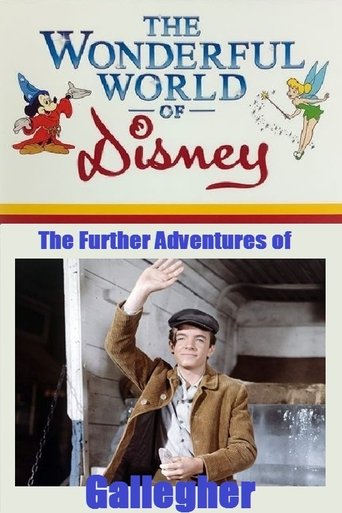 The Further Adventures of Gallegher Poster of The Further Adventures of Gallegher