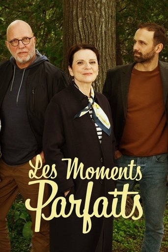 Les moments parfaits Poster of Les moments parfaits