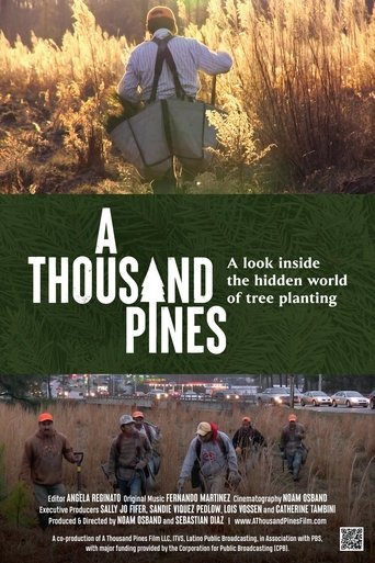 A Thousand Pines Poster of A Thousand Pines