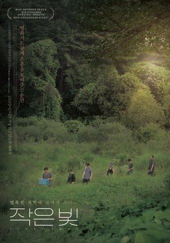 Tiny Light Poster of Tiny Light
