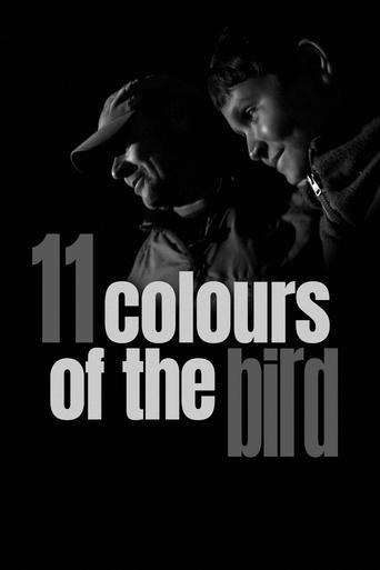 11 Colours of the Bird Poster of 11 Colours of the Bird