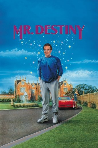 Mr. Destiny Poster of Mr. Destiny