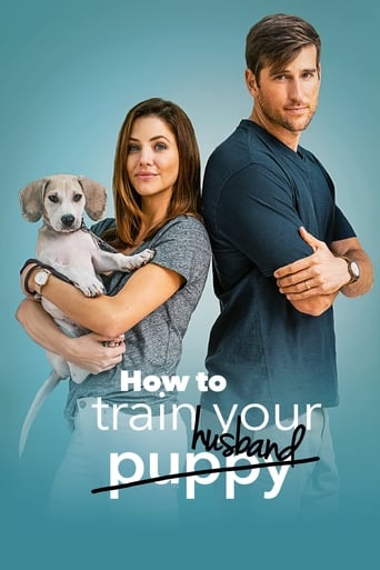 How to Train Your Husband Poster of How to Train Your Husband
