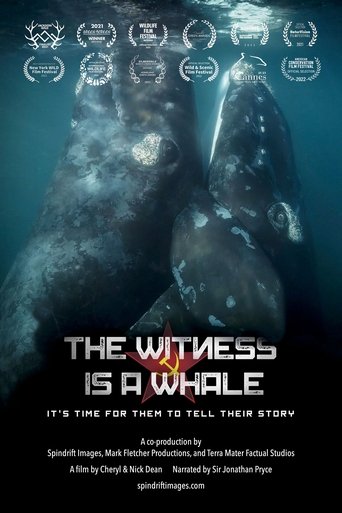 The Witness is a Whale Poster of The Witness is a Whale