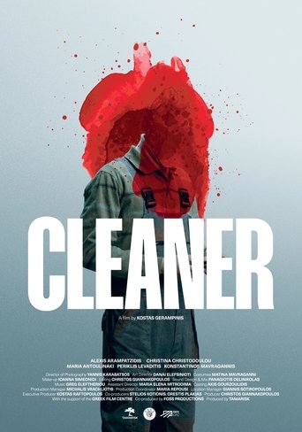 Cleaner Poster of Cleaner