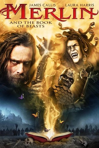 Merlin and the Book of Beasts Poster of Merlin and the Book of Beasts
