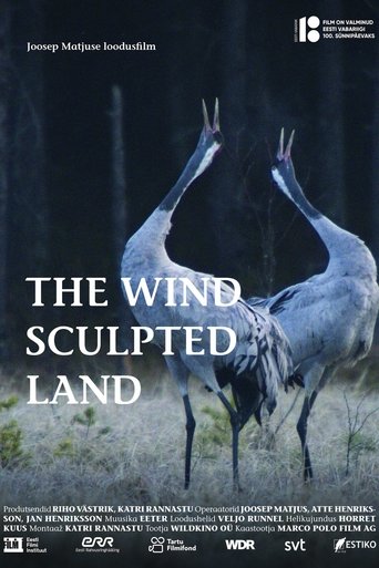 The Wind Sculpted Land Poster of The Wind Sculpted Land