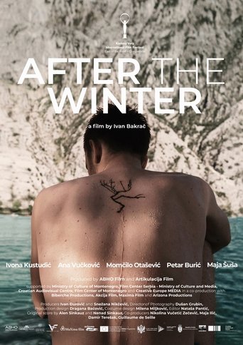 After the Winter Poster of After the Winter