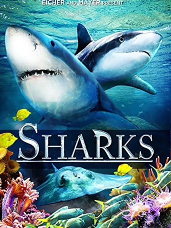 Sharks (in 3D) Poster of Sharks (in 3D)