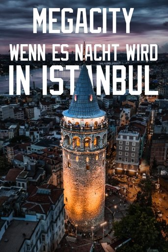 Megacity: When Night Falls in Istanbul Poster of Megacity: When Night Falls in Istanbul