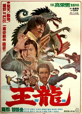 Deadly Kick Poster of Deadly Kick