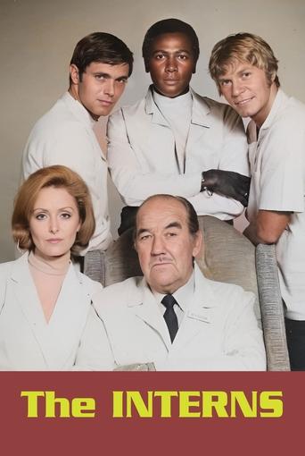 The Interns Poster of The Interns