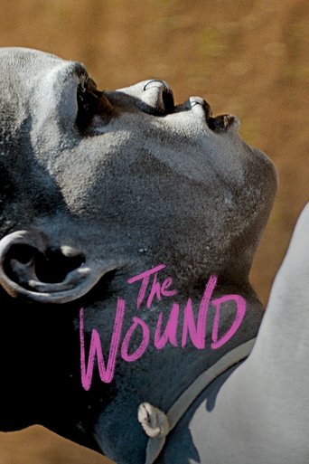 The Wound Poster of The Wound