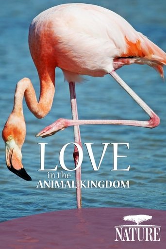 Nature: Love in the Animal Kingdom Poster of Nature: Love in the Animal Kingdom