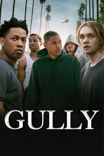 Gully Poster of Gully
