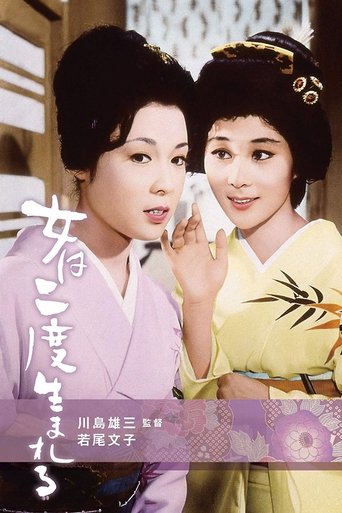 A Geisha's Diary Poster of A Geisha's Diary