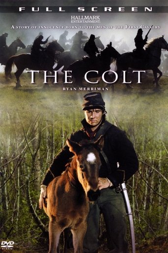 The Colt Poster of The Colt