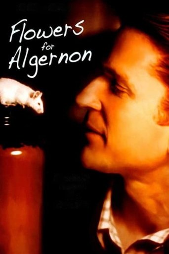 Flowers for Algernon Poster of Flowers for Algernon