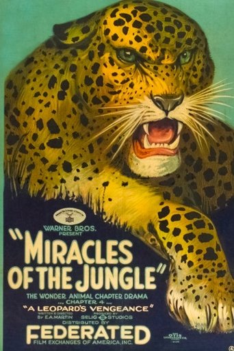 Miracles of the Jungle Poster of Miracles of the Jungle