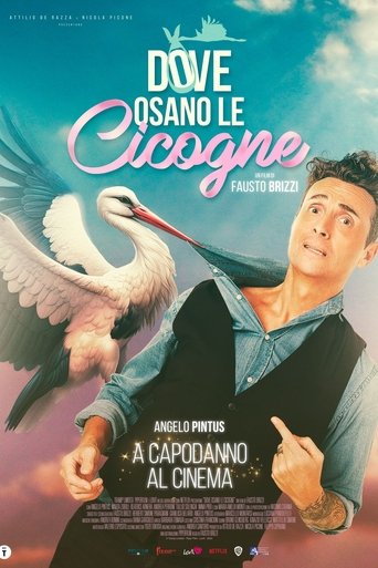 Dove osano le cicogne Poster of Dove osano le cicogne